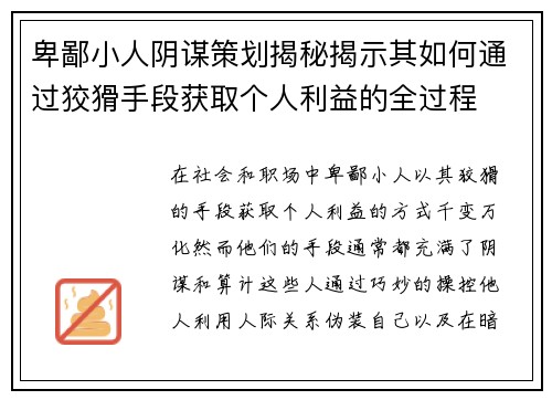 卑鄙小人阴谋策划揭秘揭示其如何通过狡猾手段获取个人利益的全过程
